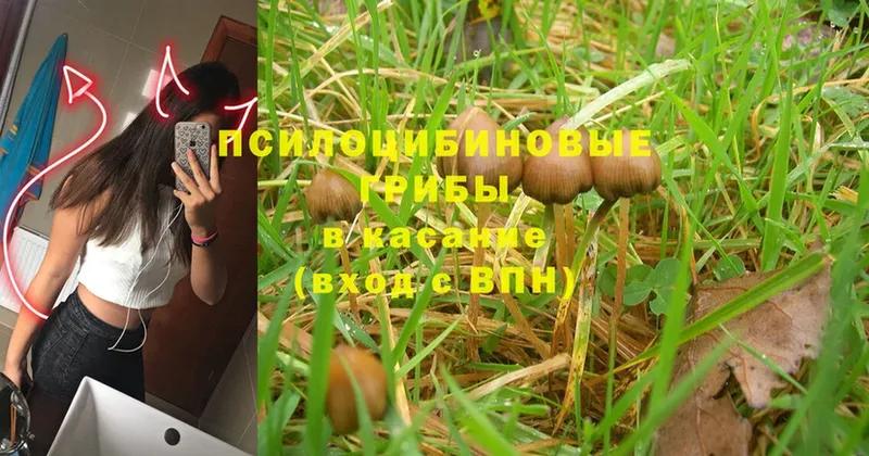 Галлюциногенные грибы Magic Shrooms  Кизилюрт 